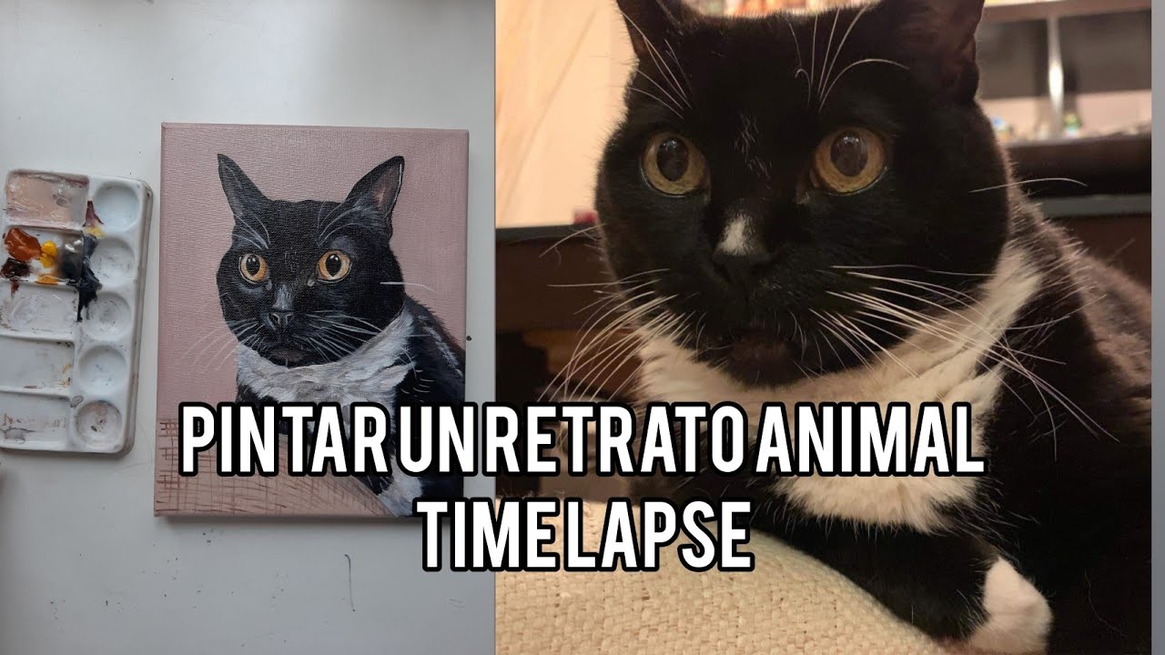 Retrato Animal | Como pintar un gato? Time Lapse | Laura Veronica