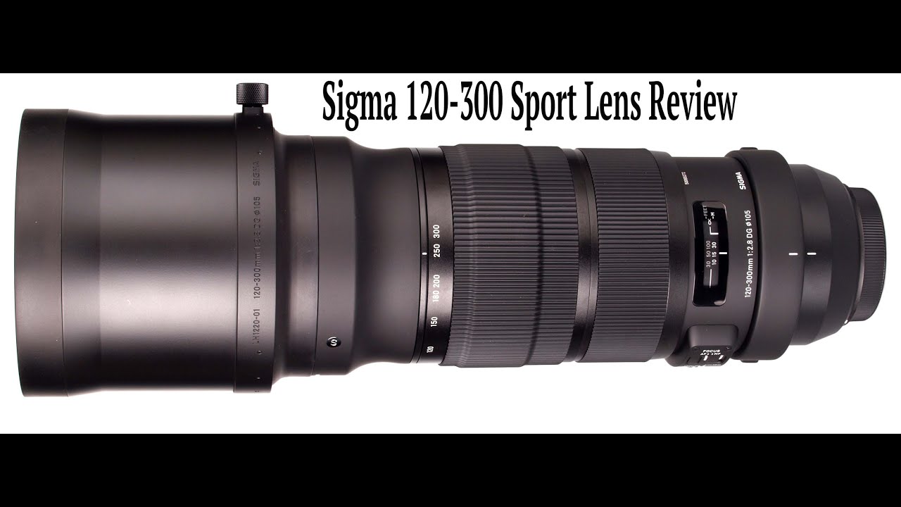 Sigma 120-300 DG OS Sport Lens Review
