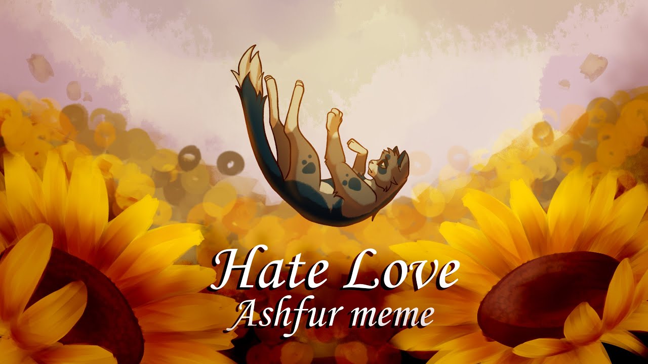 Hate love animation meme / PMV  | Ashfur Hanahaki AU