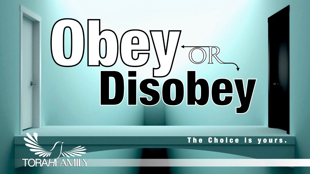 Obey or Disobey