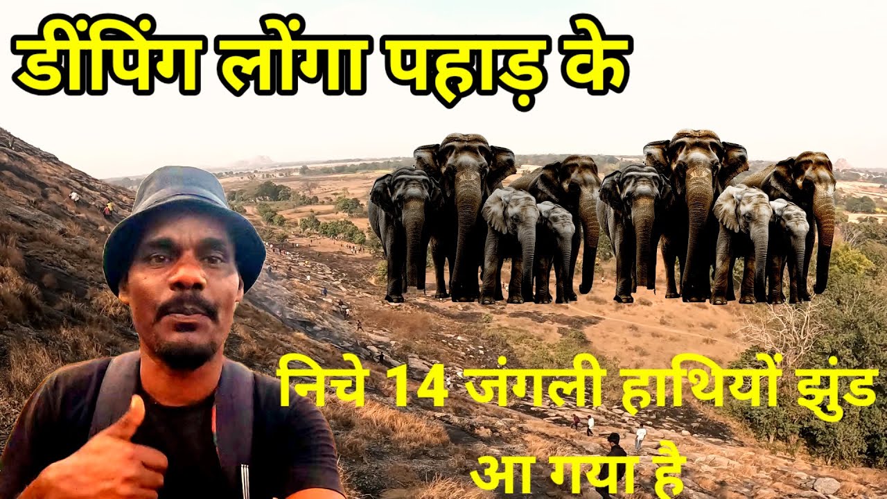 डींपिंग लोंगा पहाड़ के//निचे 14जंगली हाथियों का झुंड आ गया है 