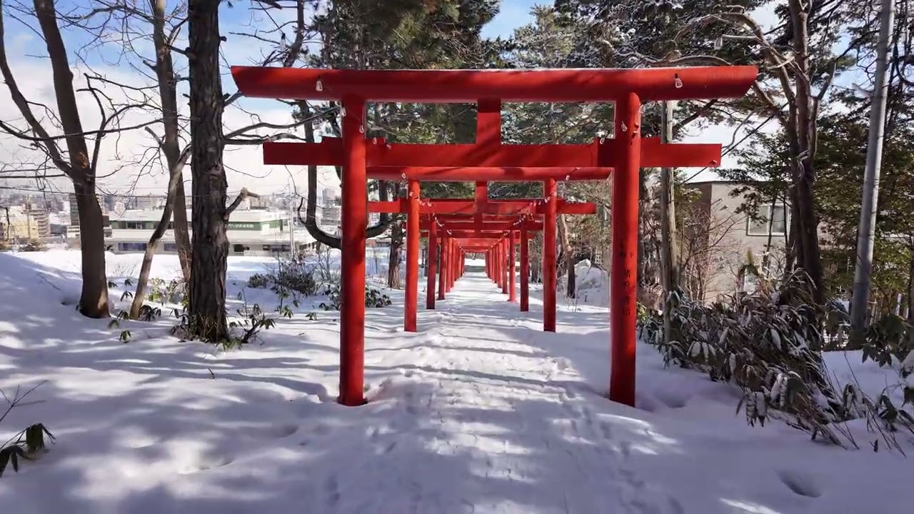 2026-03-10 伏見稻荷神社