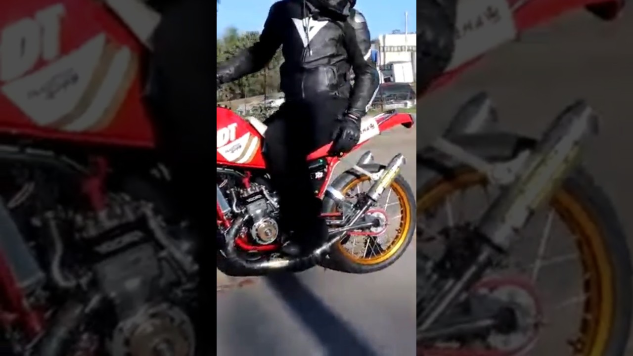 Dt bicilindrica by A.L Motors