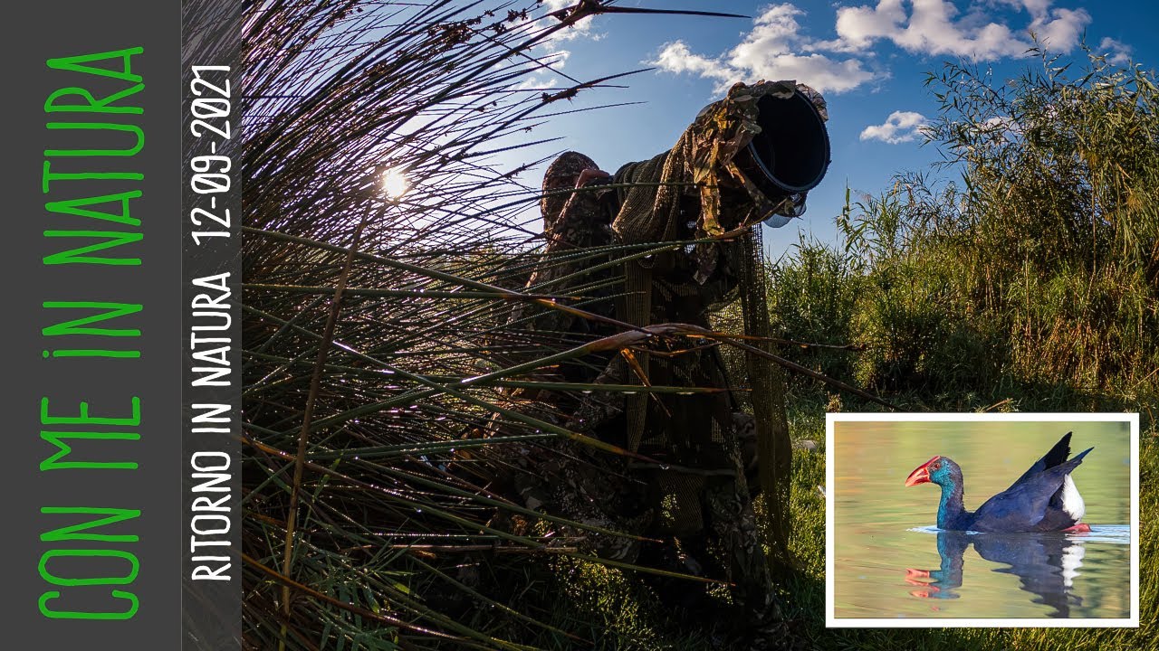Ritorno in Natura - la mia mattinata di caccia fotografica