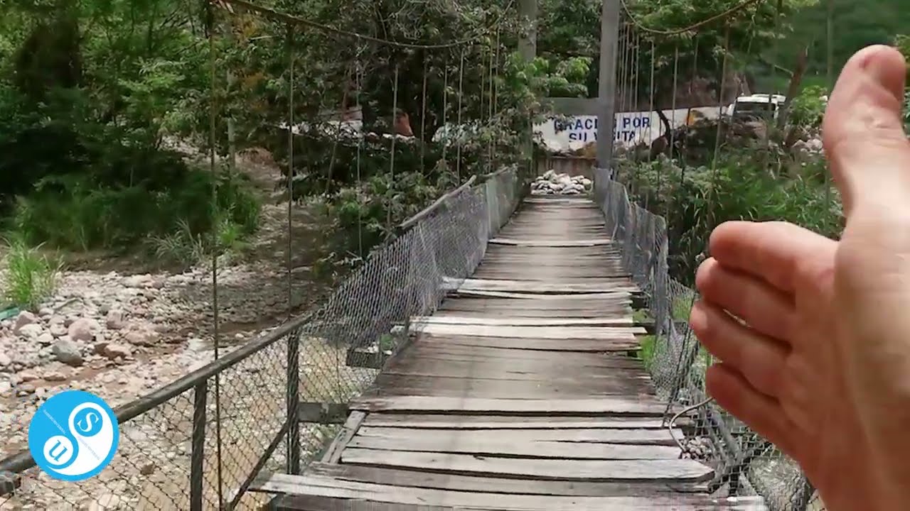 UMPALA: Un tesoro escondido que debes conocer.