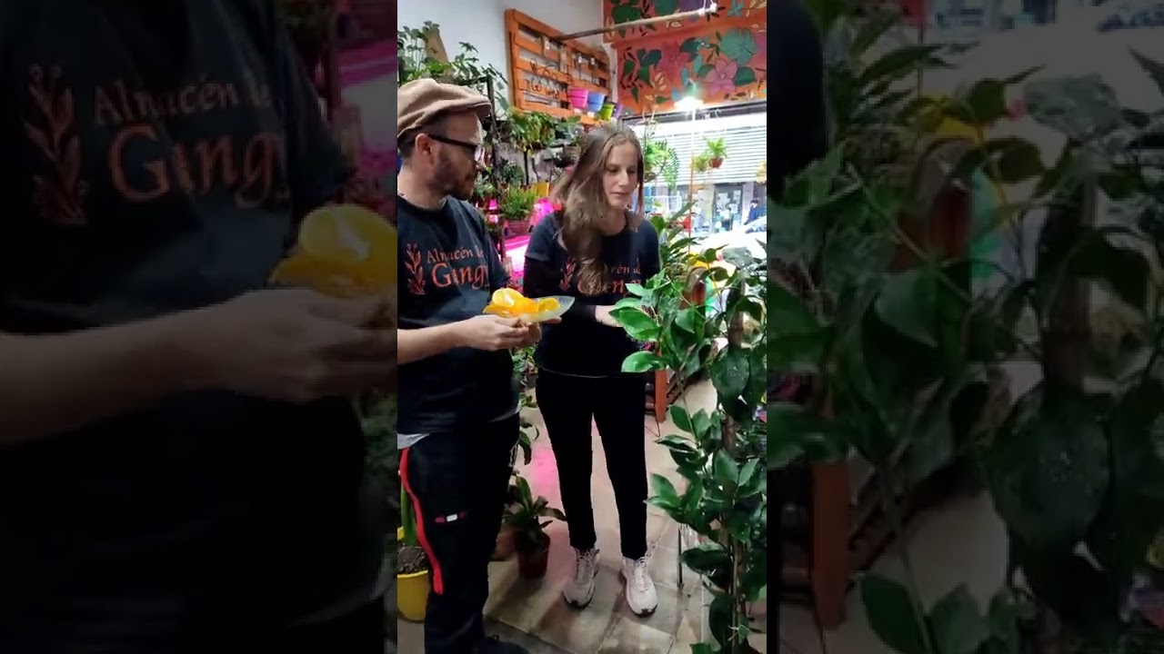 C&Oacute;MO DIFENCIAR LOS CITRICOS 🍋🍊