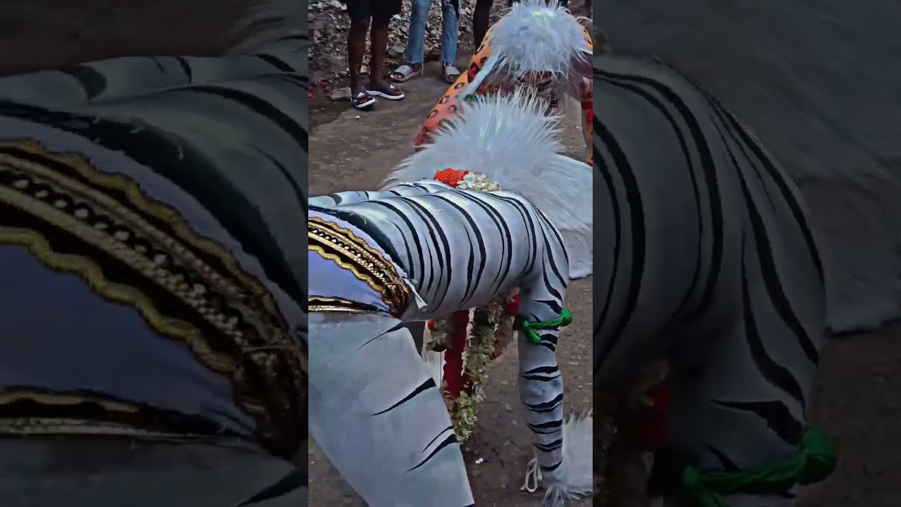 Dhatkidih harijan basti moharram bagh