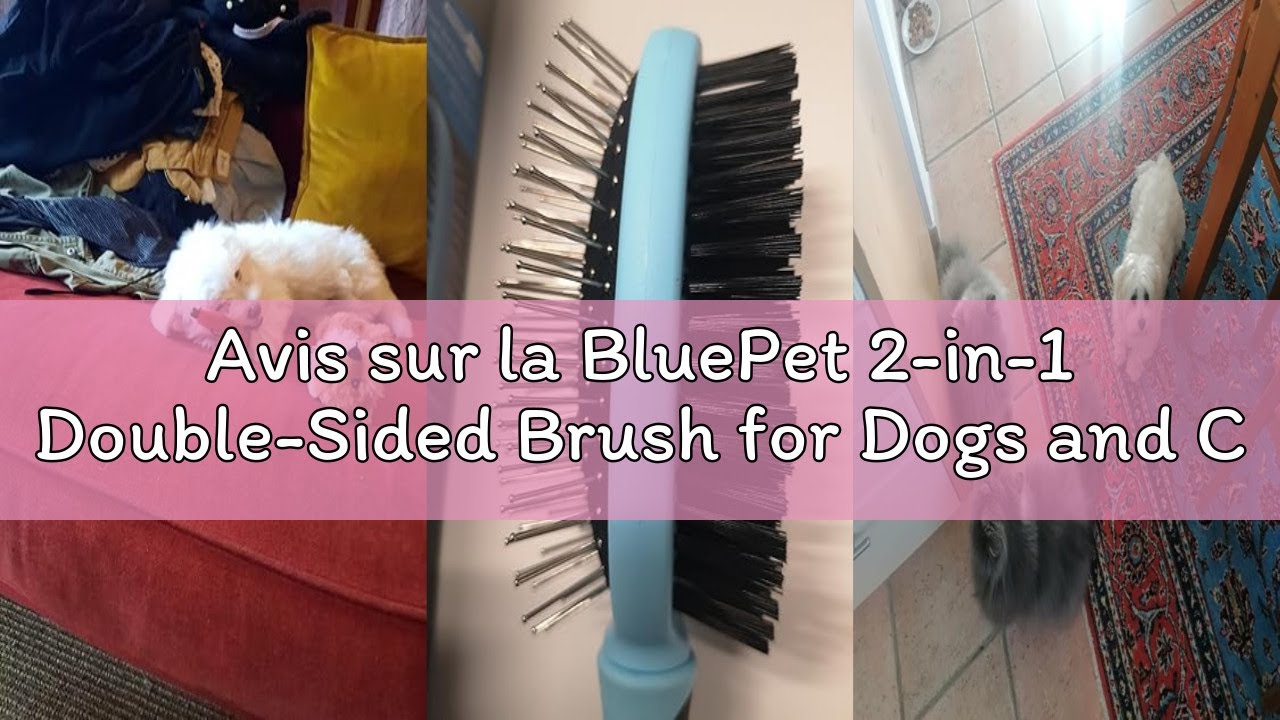 Avis sur la BluePet 2-in-1 Double-Sided Brush for Dogs and Cats with Long and Short Hair, Smooth, De