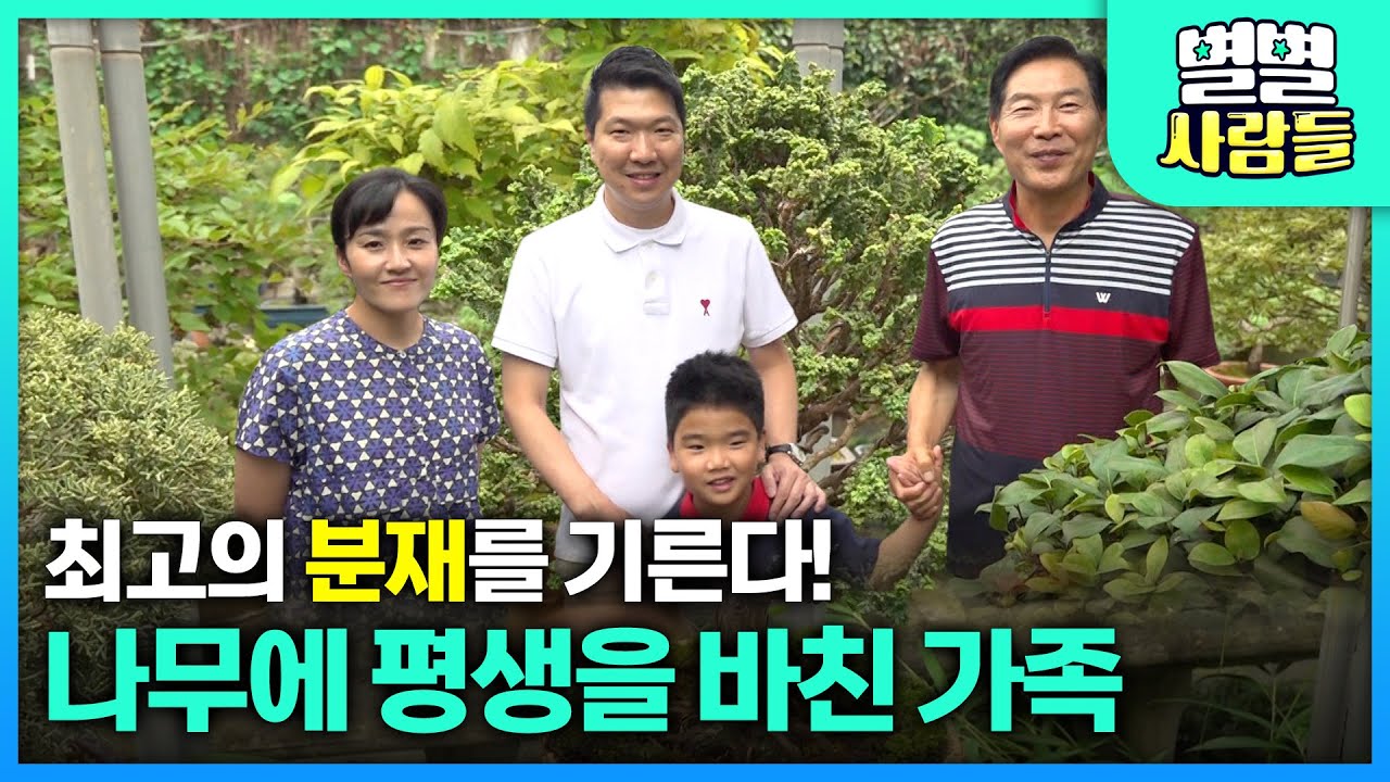 최고의 분재를 기른다! 나무에 평생을 바친 가족 [ 별별사람들 ] 20240904