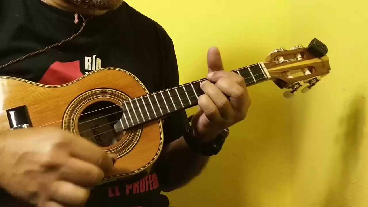 Grupo Fundo de quintal. Amor dos Deuses. 