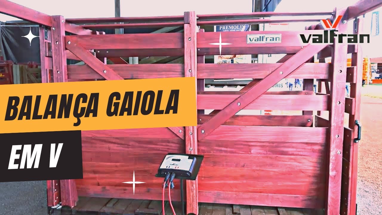BALANÇA ELETRONICA GAIOLA V - SUPERVISOR RAIMUNDO