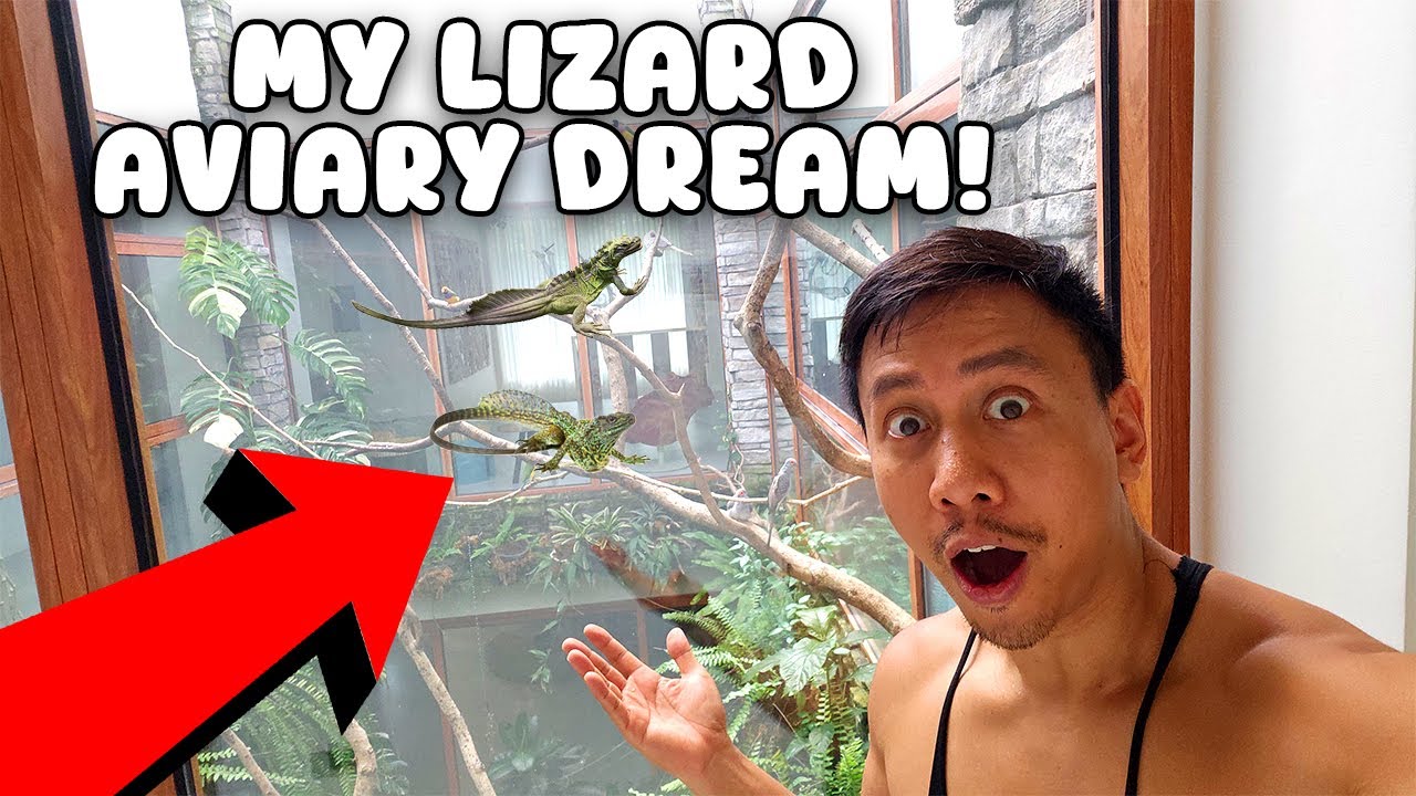 I Put Two Lizards in My Giant Home Aviary 🦎 | Vlog #1755