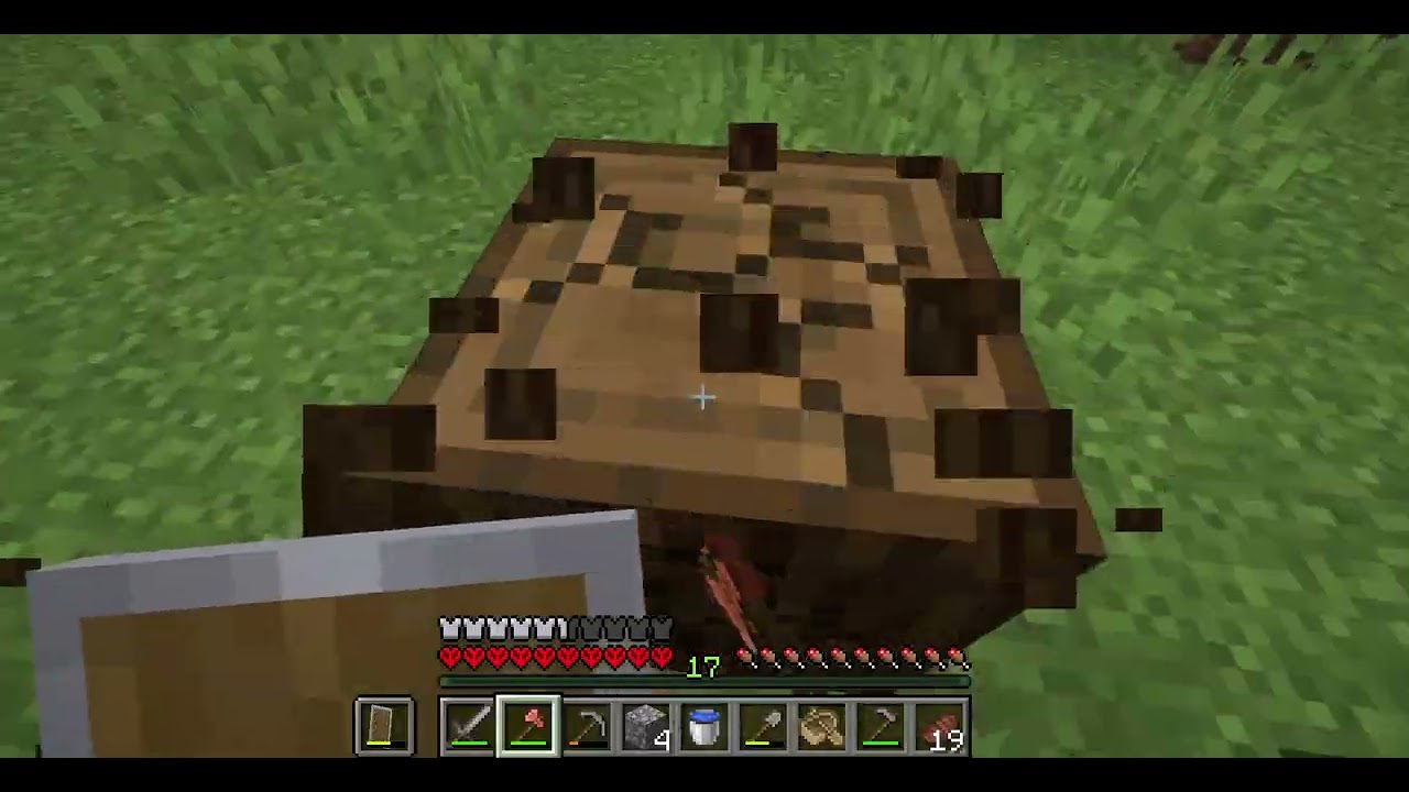 Minecraft Hardcore Folge 8