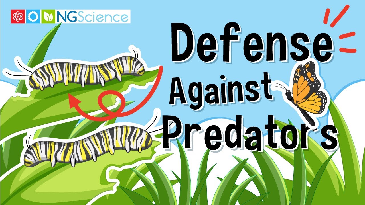 Defense Against Predators