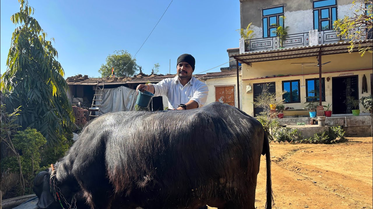 गांव में घर का काम || Gajraj Meena Santha || #villagerlifestyle #viral #vlog #trending 