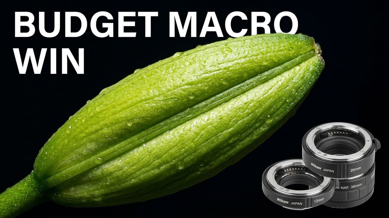 Top Budget Friendly Gears for Stunning Macro Photography Shots in 2025
