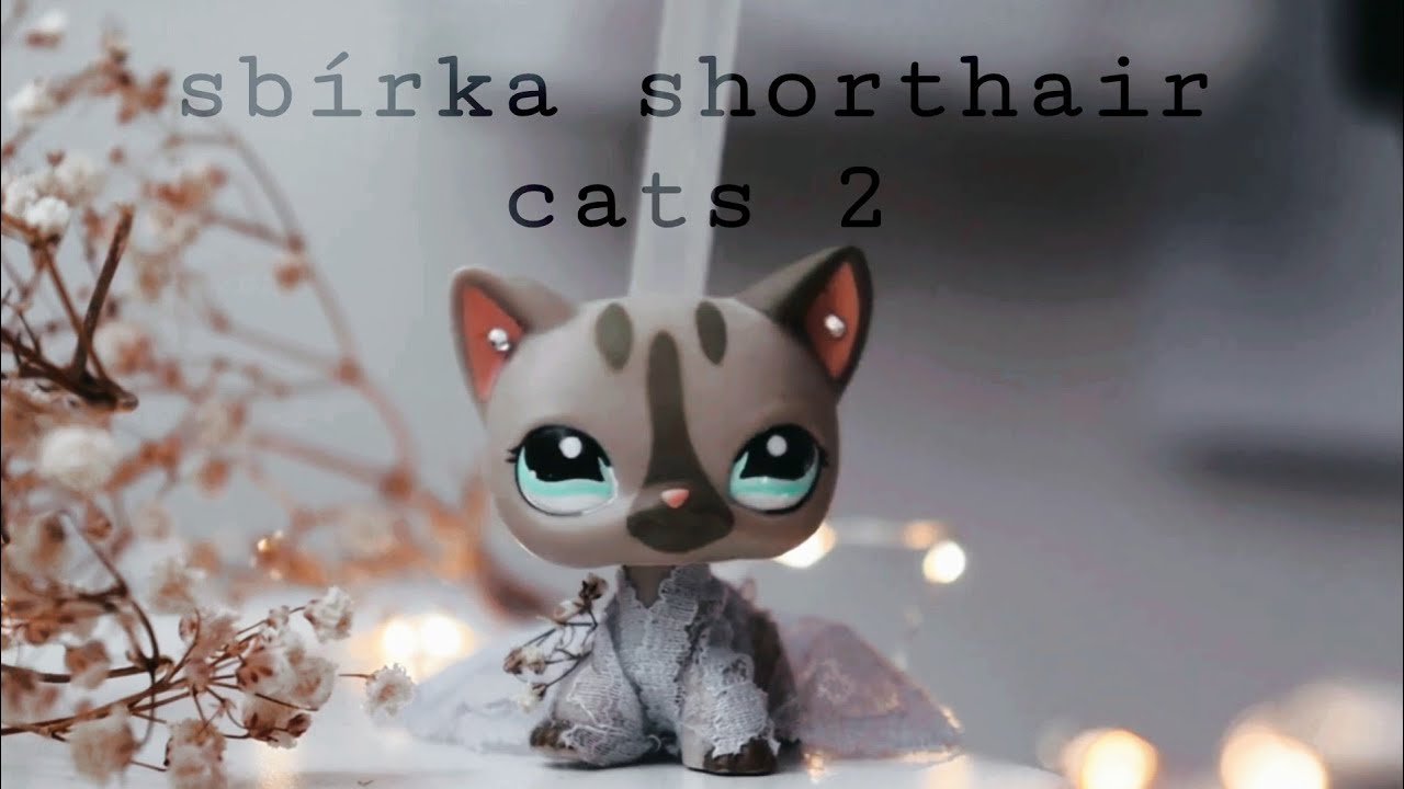LPS: Sbírka shc 2 ⋆. 𐙚 ˚ // UPDATE