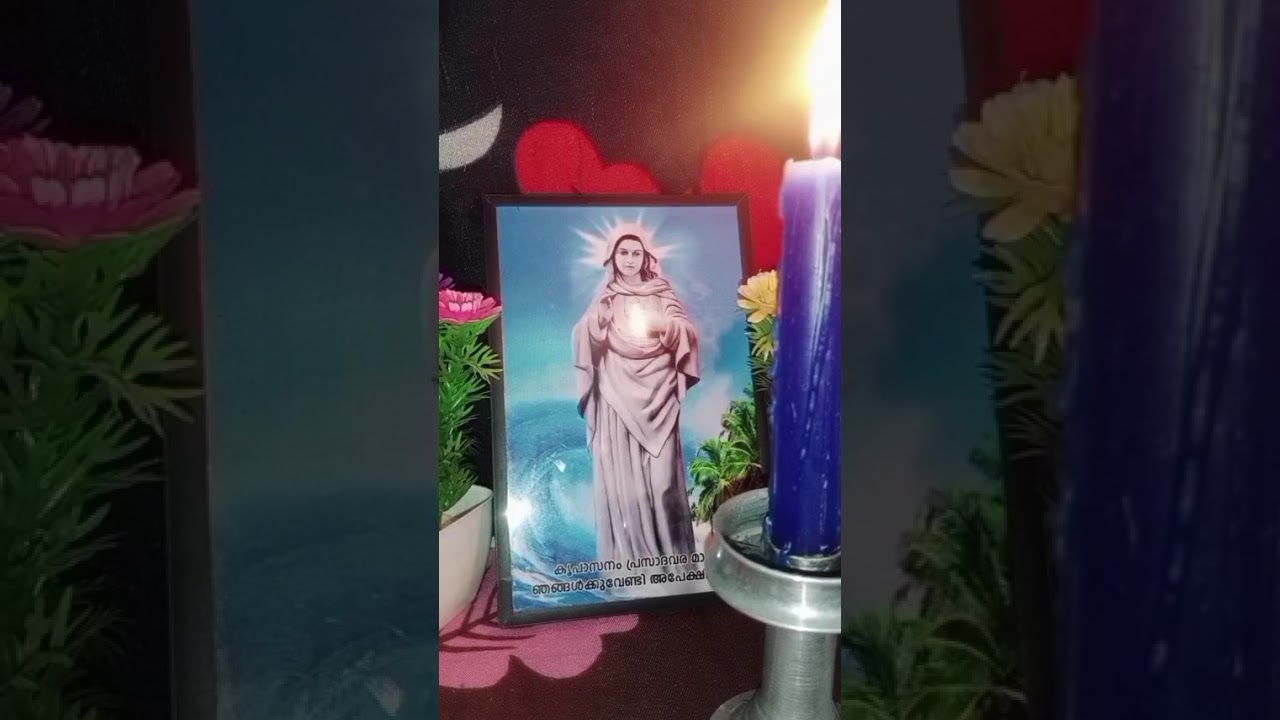 സഞ്ചാരി മാതാവേ ഇന്ന് വീട്ടിൽ വന്ന് ഞങ്ങളെ അനുഗ്രഹിക്കണമേ♥️🙏