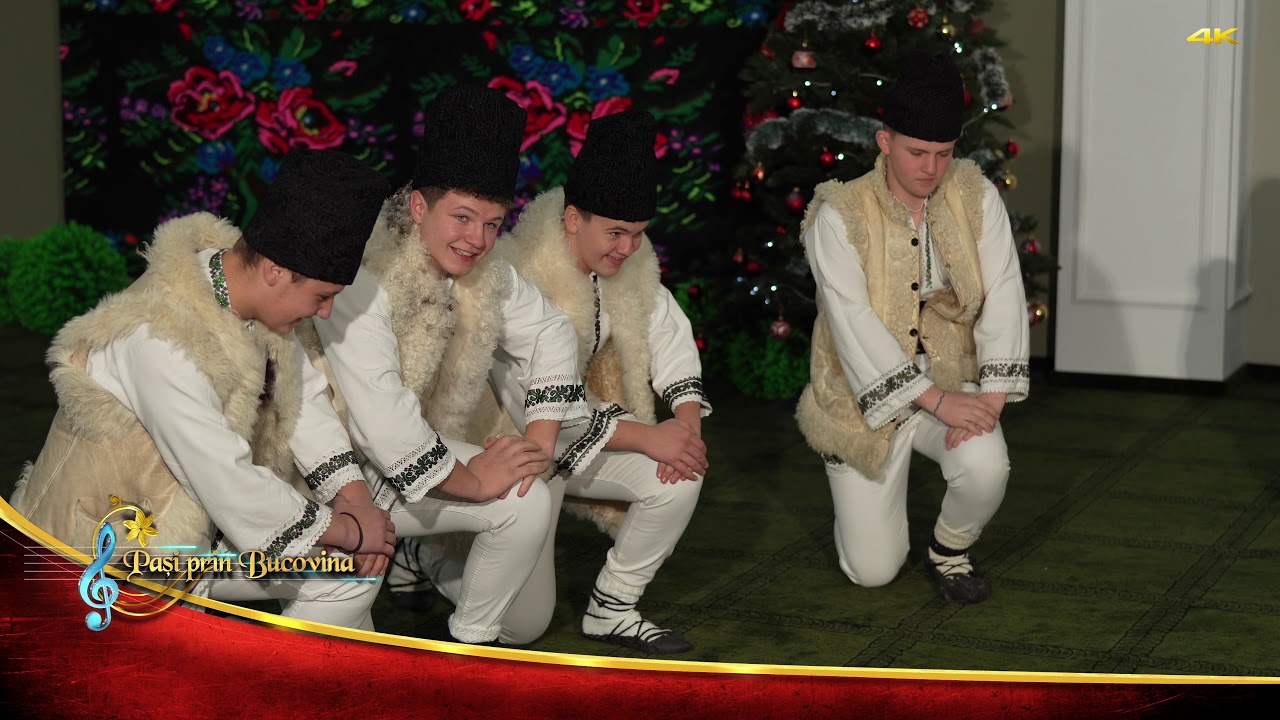 Ansamblul ”Stejarul”   Cajvana   coord  Iulian Ciotu