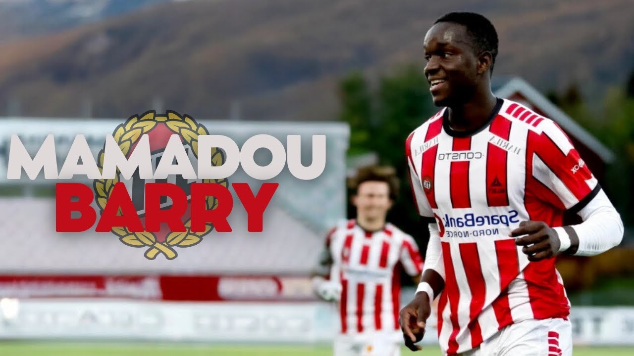 Mamadou Thierno Barry ▶ Skills, Goals & Highlights 2024ᴴᴰ