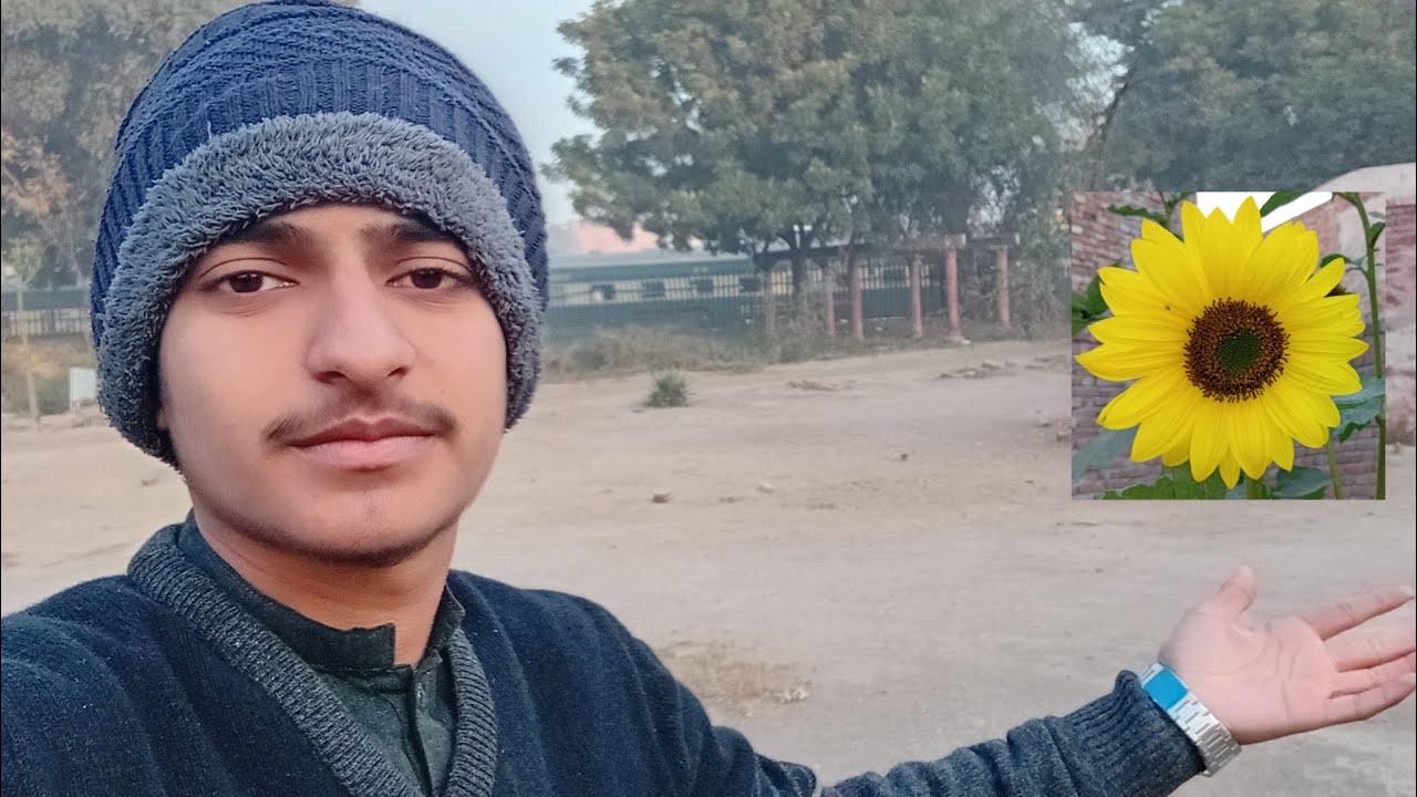 Toba tek singh railway station or vegitable plants