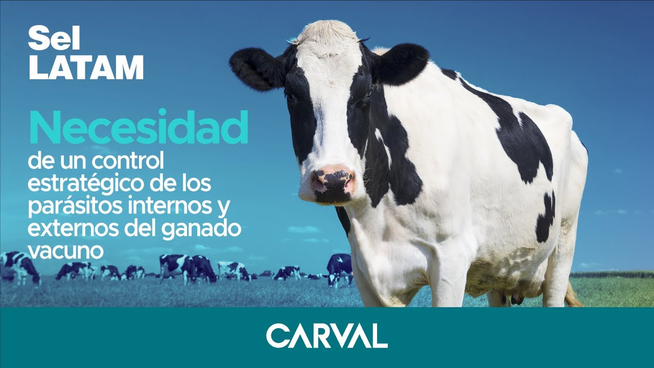 Necesidad de un Control Estratégico de los Parásitos Internos y Externos del Ganado Vacuno