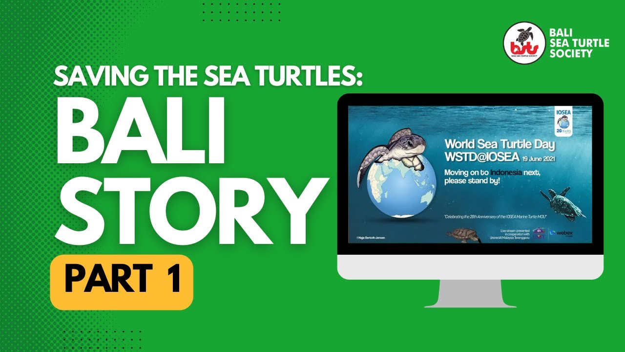 Saving the sea turtles : Bali Story - Part #1 a documentary video of Bali Sea Turtle Society