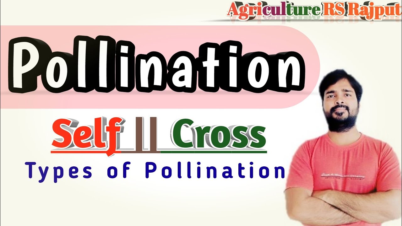 Pollination in Plants | Types of Pollination | Sexual Reproduction | Plant Breeding
