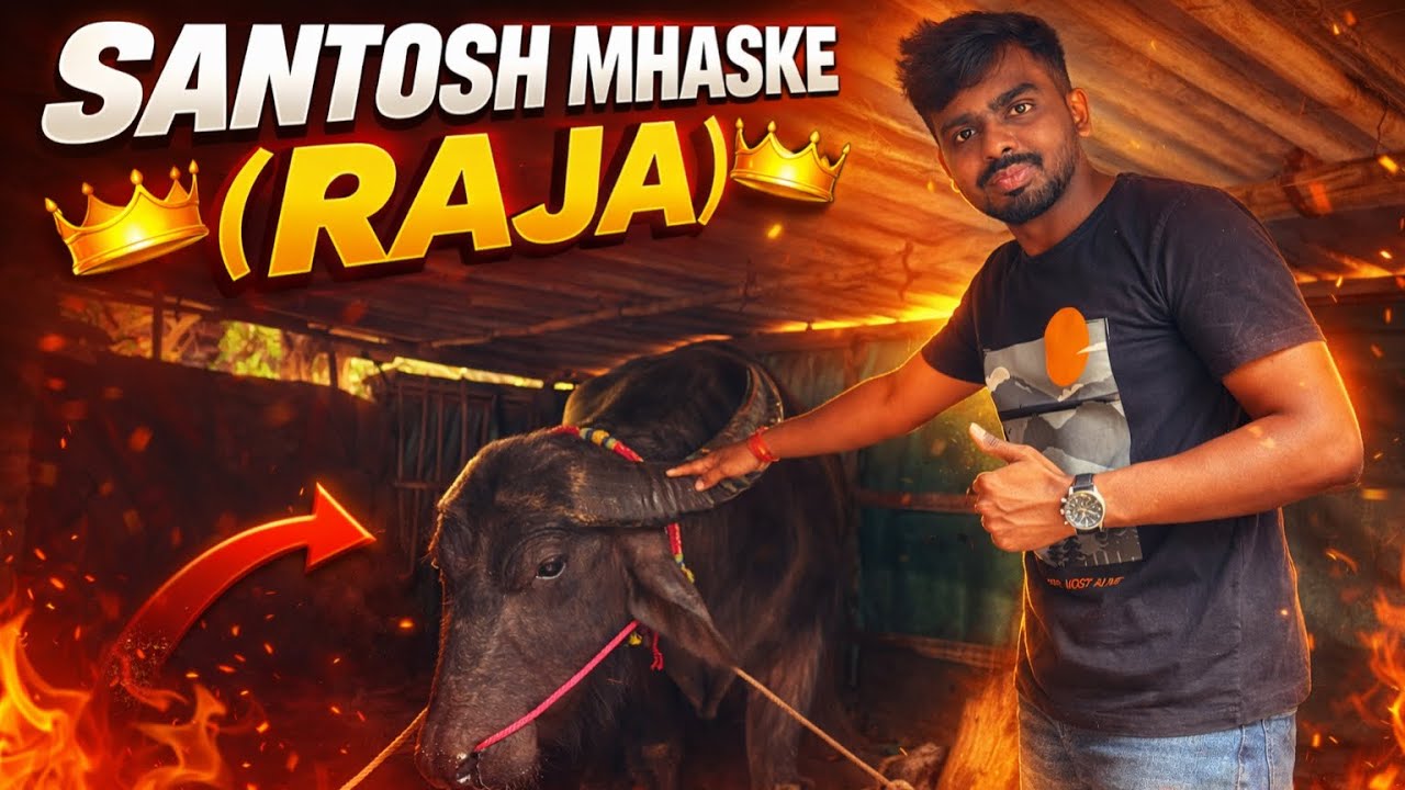 SANTOSH MHASKE CHA (RAJA - BARKU)🐃🐃