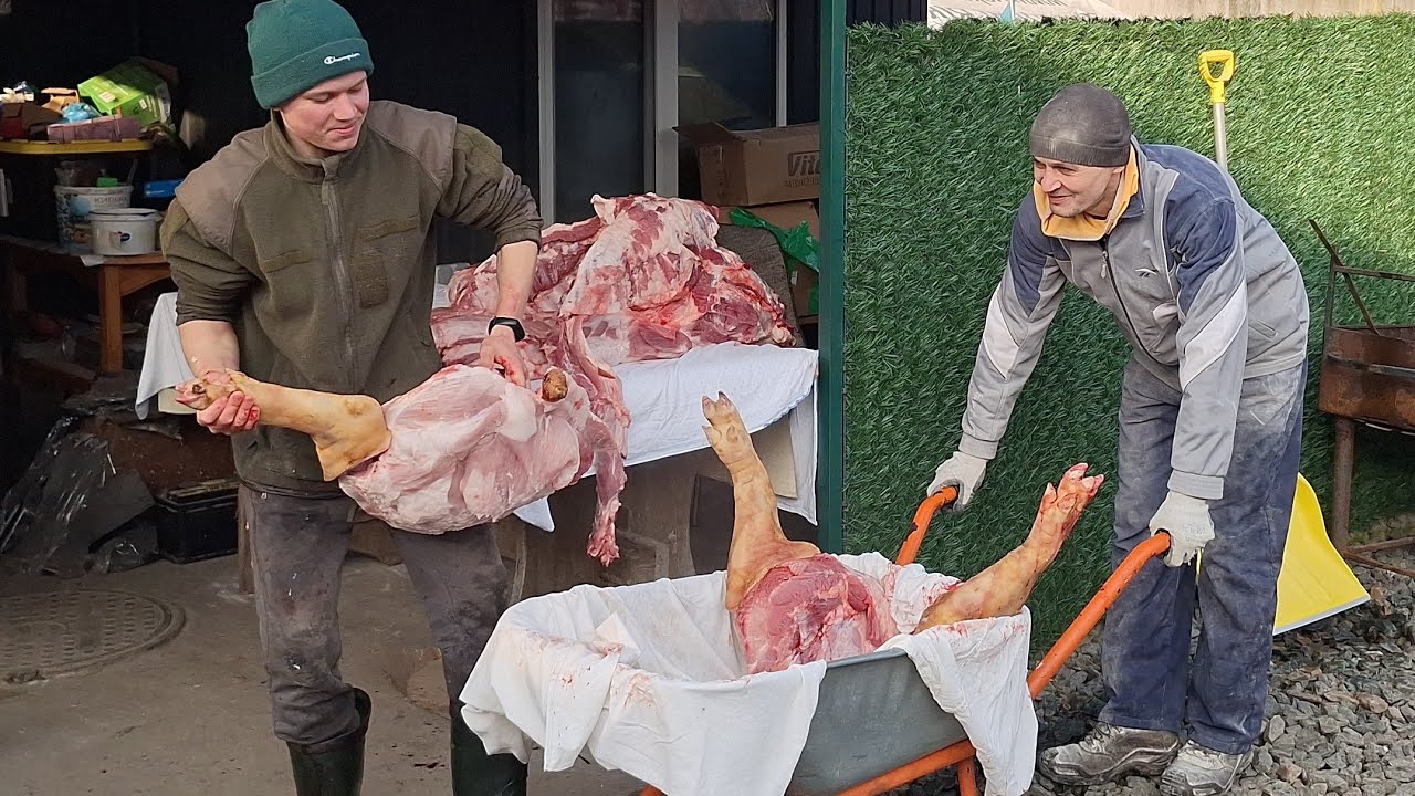 Забій потужної свинки‼️Сало мясо,таранЧюк‼️Інеска в допомогу‼️Розбираєм лопатку та задок‼️Юний Колій