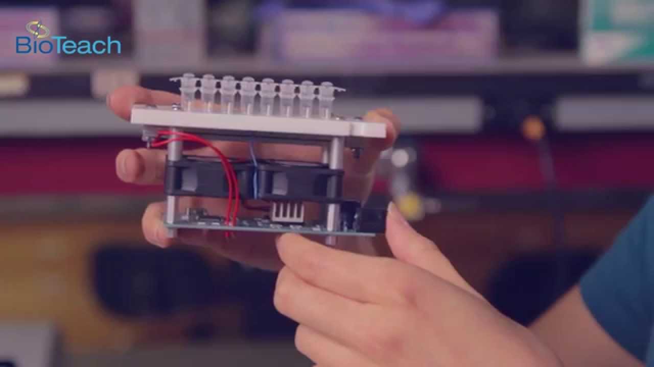 PCR Thermocycler Lab 3