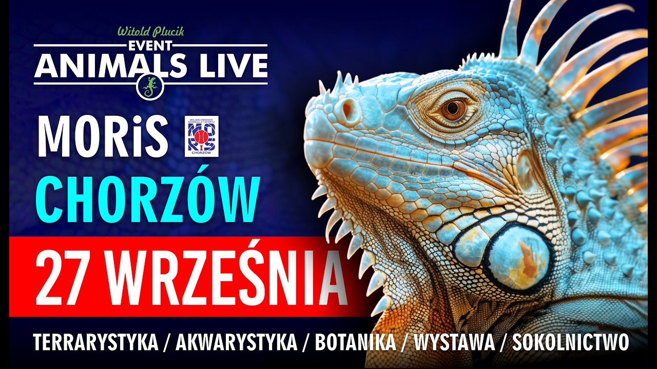 Animals Live Chorzów - Terrarystyka & Akwarystyka & Botanika