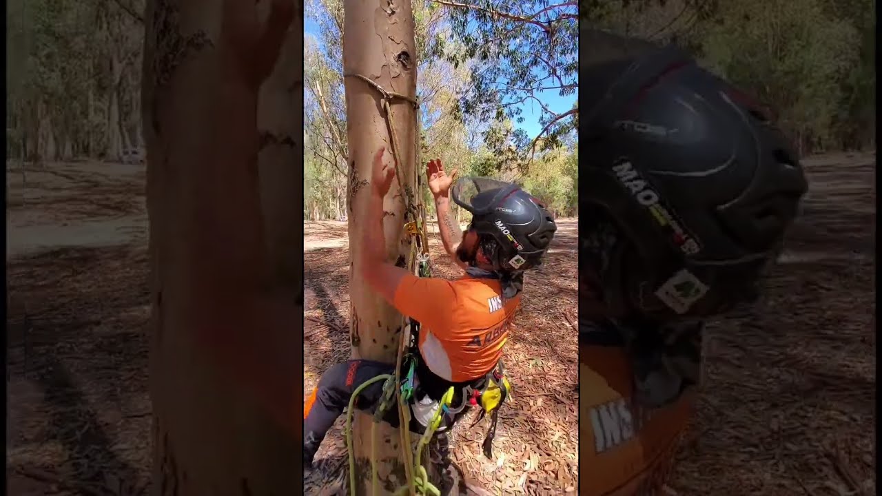 Diferentes usos del salva ramas 🔥 #treeclimbing #tree #arborist #trepa