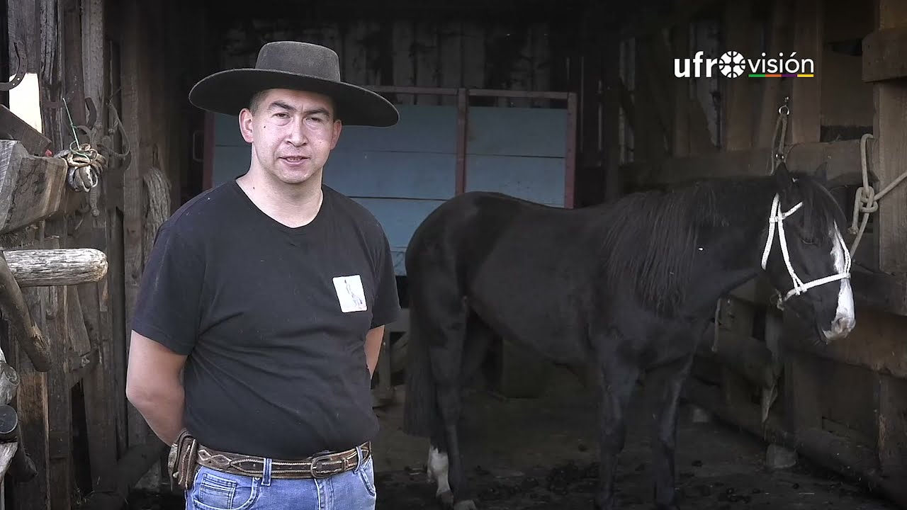 Jaime Lefiqueo, domador de caballos de Teodoro Schmidt | MI OFICIO MI HISTORIA