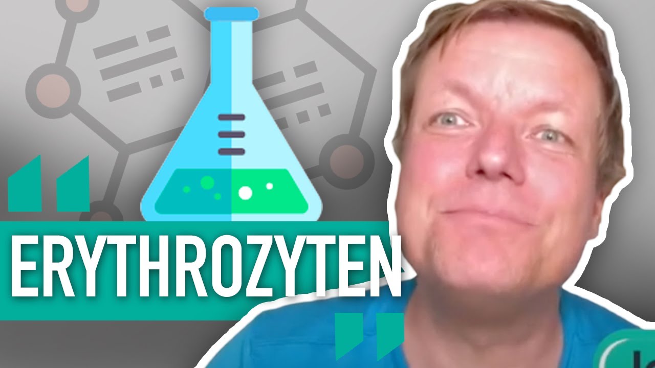 ❌💉ERYTHROZYTEN - BEDEUTUNG und NORMWERTE  (BLUTWERTE)