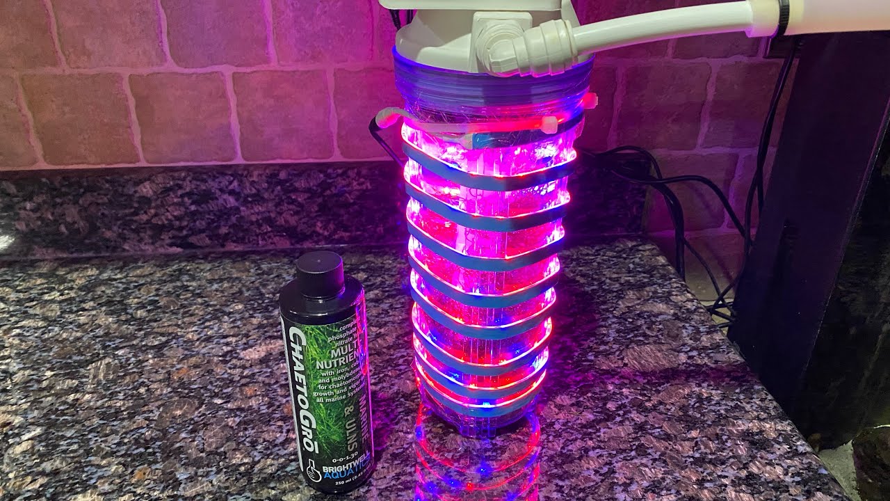 Macroalgae Reactor DIY for biocube 32 or any tank  part one   4K