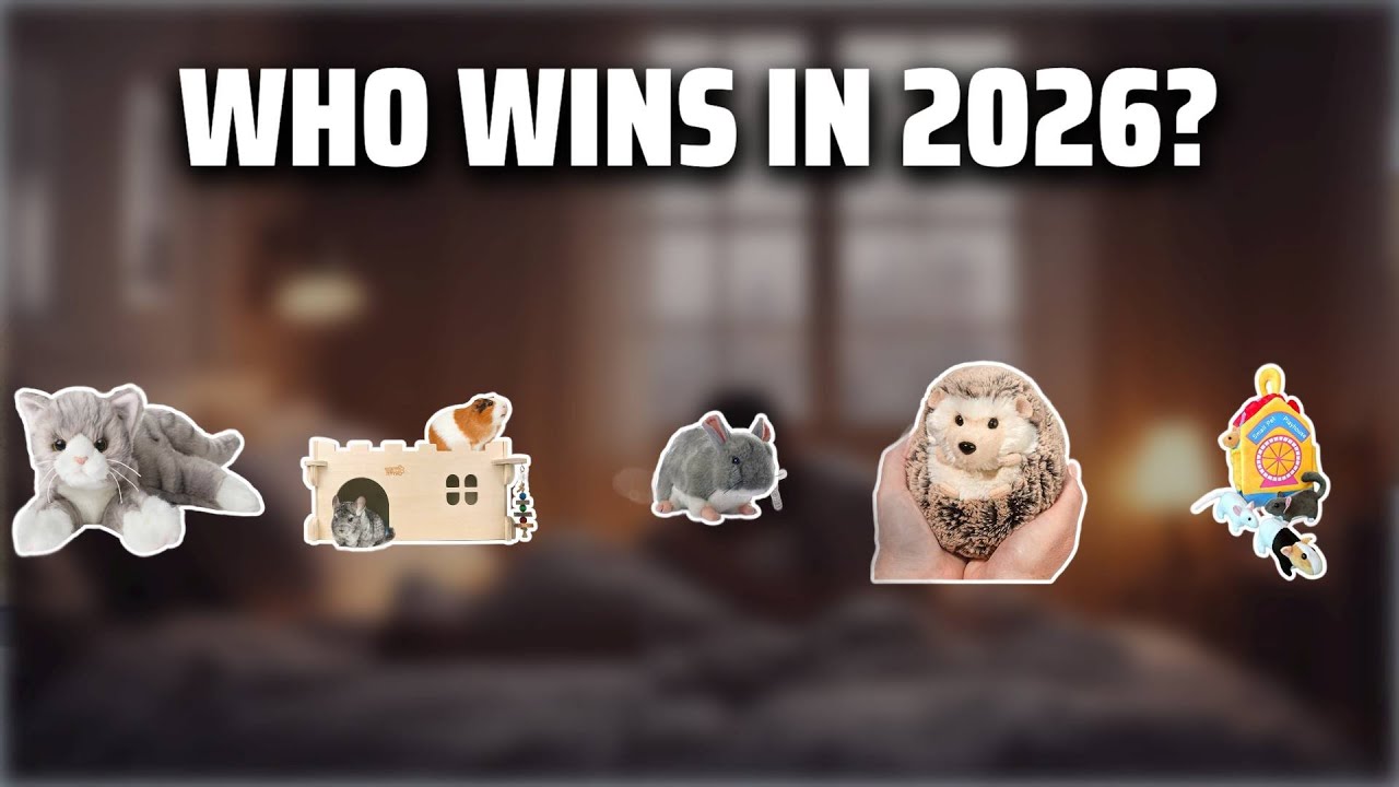 The Top 5 Best Chinchilla Plush in 2026 - Must Watch Before Buying!