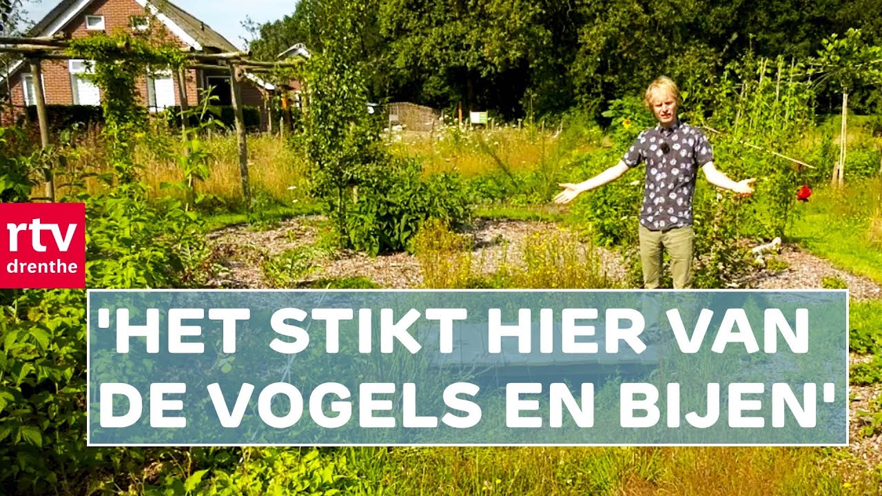 De bijzondere tuin van Remi | ROEG! | RTV Drenthe