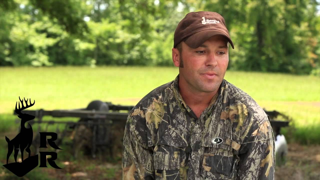 How to Encourage Deer to Eat at a New Feeding Station