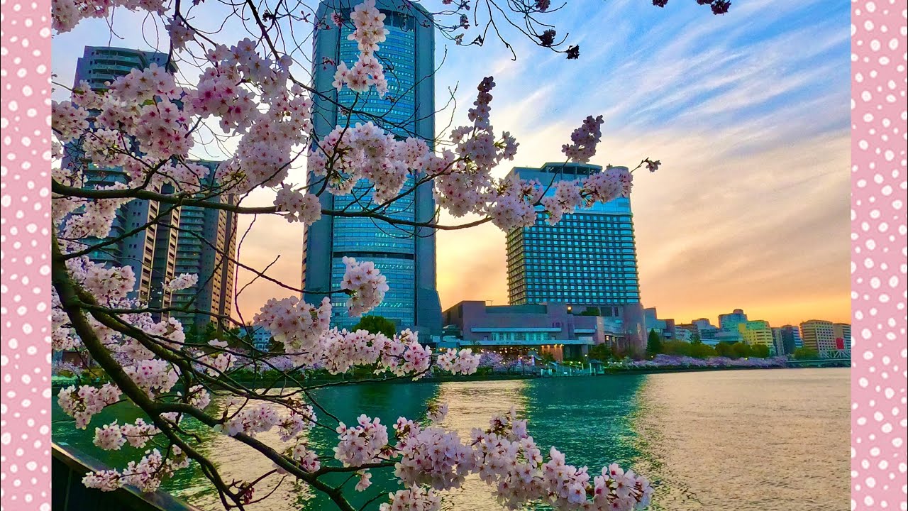 Springtime ln Osaka City || 4K UHD