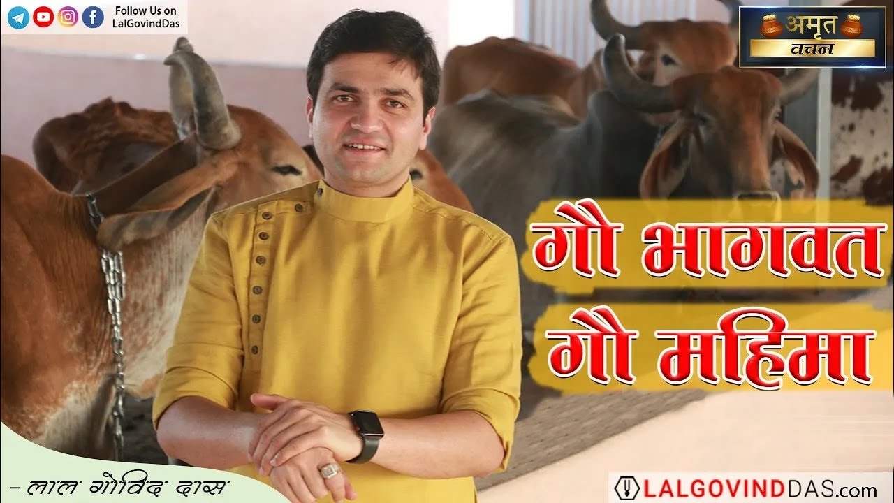 गौ भागवत - गौ महिमा | Glories Of Gau Mata #jaigaumata #gauseva #love #mother #cow #lalgovinddas