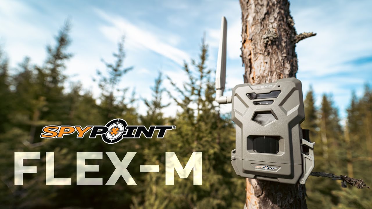 Uuden riistakameran testausta! Spypoint FLEX-M