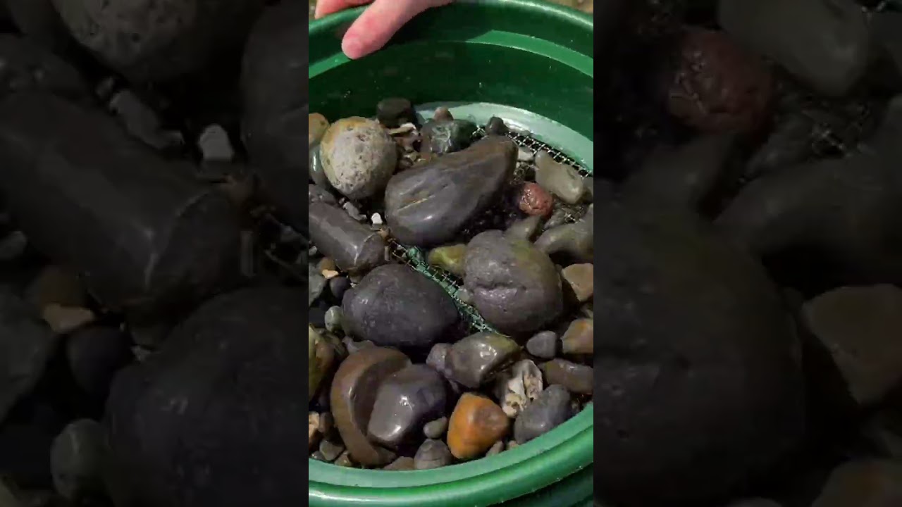 DON'T FORGET! Check your Prospecting Classifiers for other Treasures like #agate #fossils #gemstones