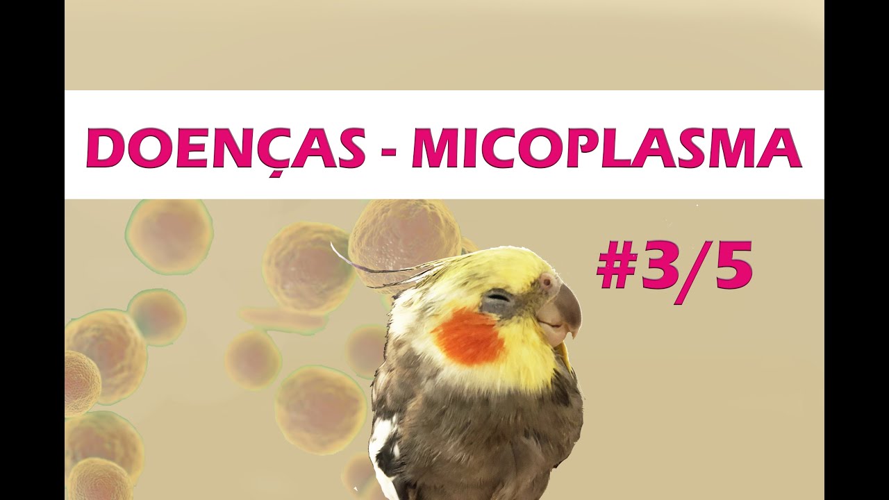MINISSÉRIE - Doenças - Episódio #03 MICOPLASMA
