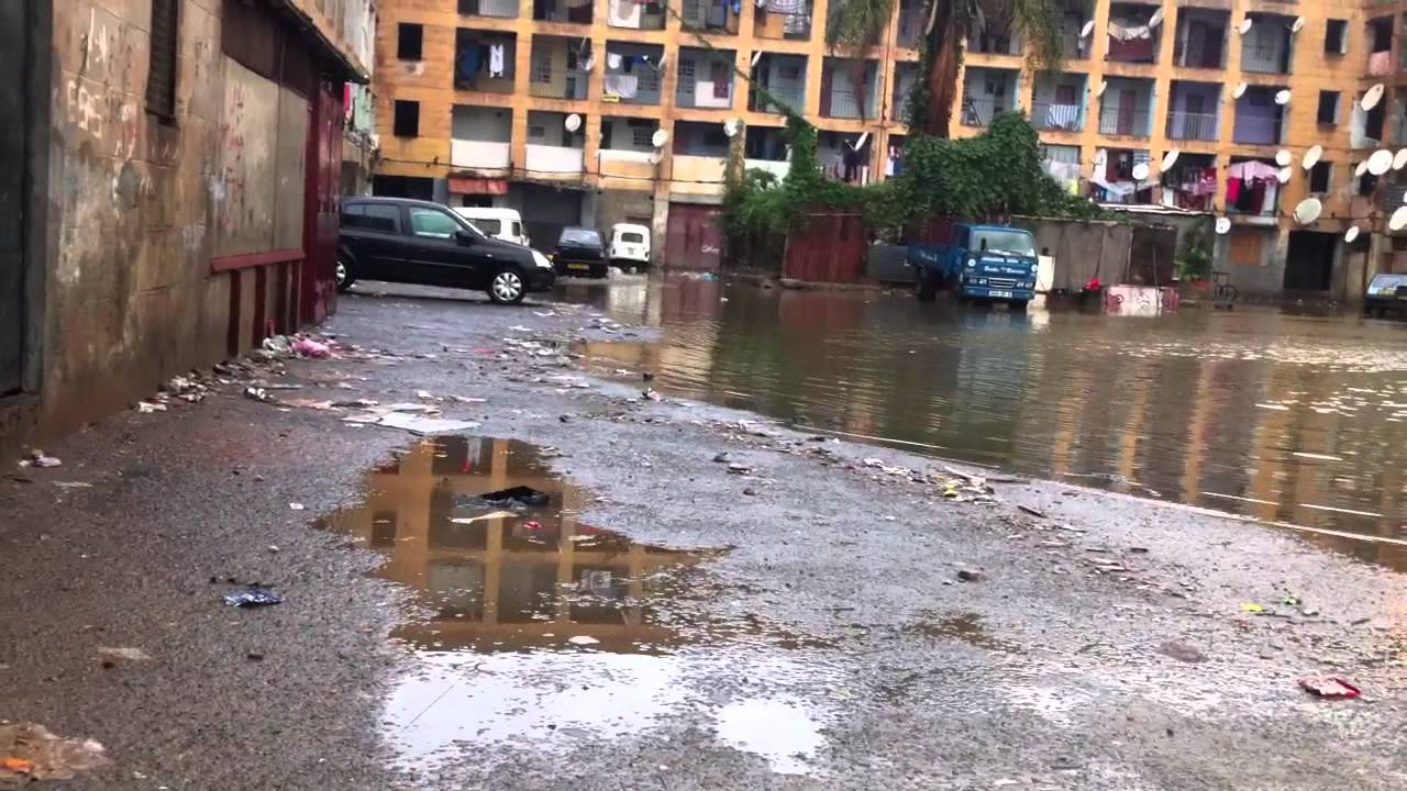 les palmiers badjarah حي النخيل باش جراح.رحلونا يانامااااار