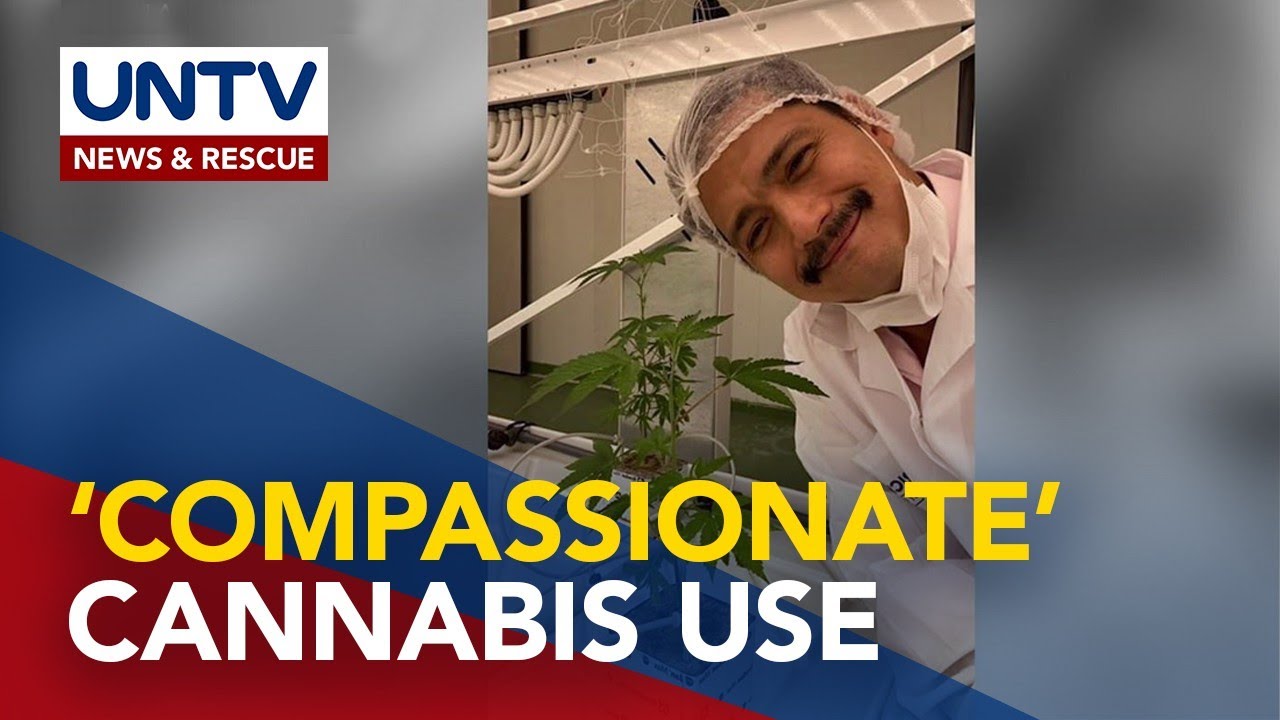 Scientific research of cannabis for medical use allowed under law &ndash; DDB