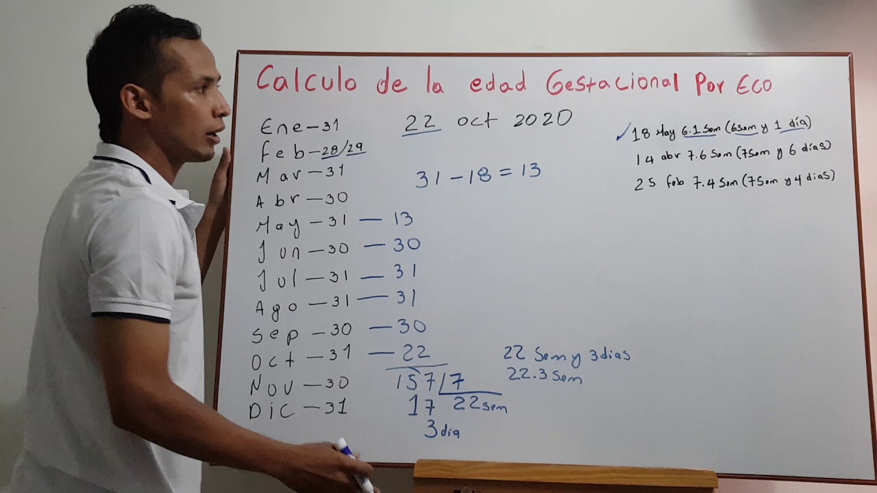 Edad gestacional por ecografía