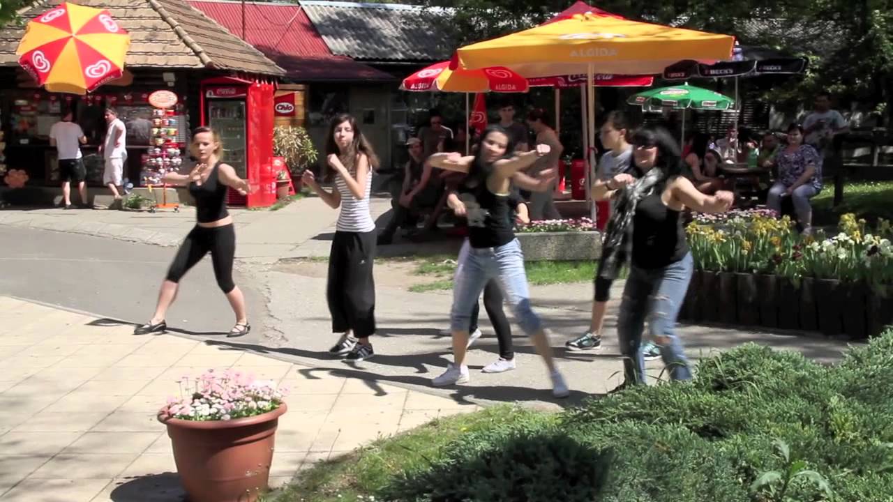 Mónika és Gergő - Lánykérés a győri Állatkertben. (Flashmob)
