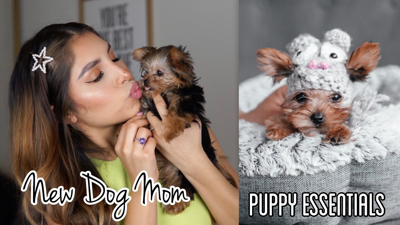 What You Need Know Before Your Purchase Puppy! || Vlog + Amazon Puppy Haul || Dani Rios