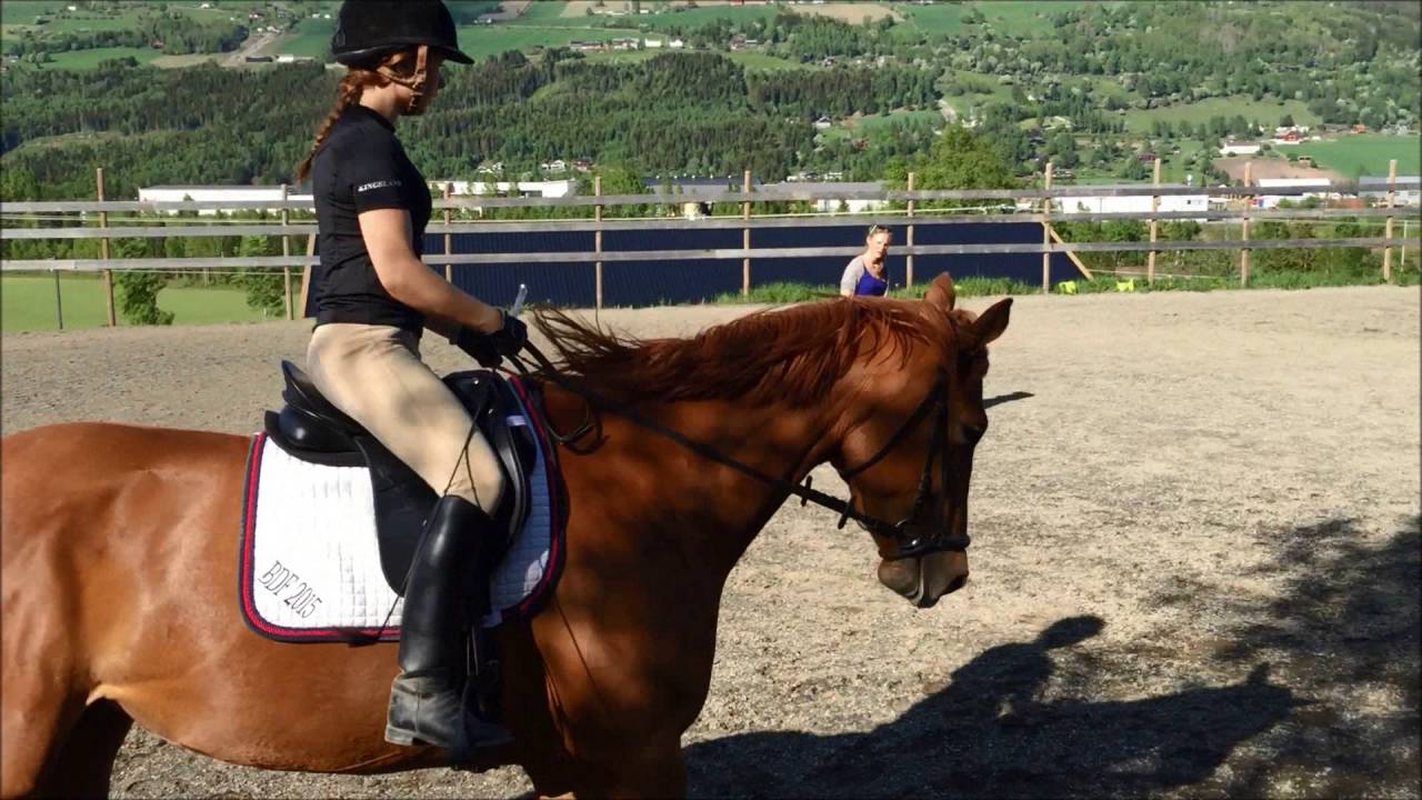 Harmonie, juli 2016